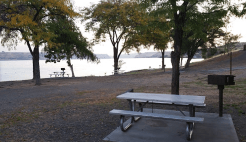 A picnic area by a lake, featuring a metal table, grill, and trees with autumn foliage.