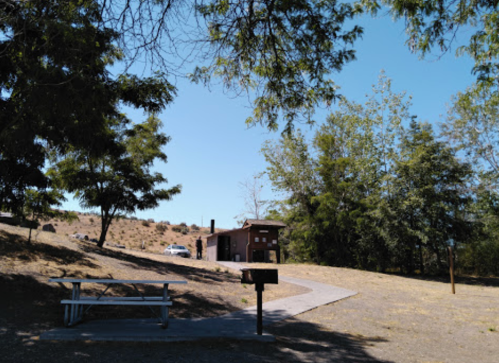 A picnic area with a table and grill, surrounded by trees, leading to a small building in a sunny outdoor setting.