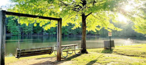 A serene lakeside scene featuring a swing, picnic table, and lush green trees under bright sunlight.