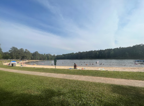 A sandy beach by a calm lake, with people swimming and relaxing under a clear sky and trees in the background.