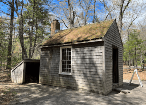 A small, rustic wooden cabin with a sloped roof, surrounded by trees and a clear blue sky.