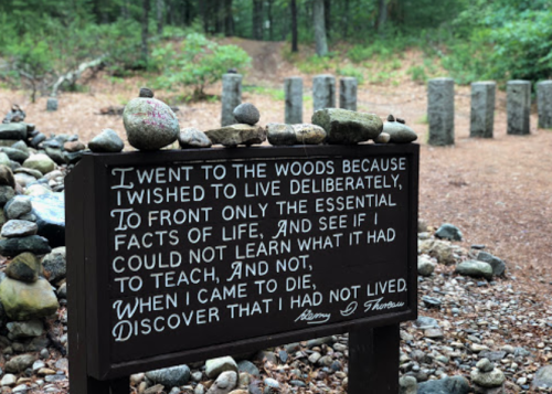 A wooden sign with a quote about living deliberately, surrounded by stones and a forest path in the background.
