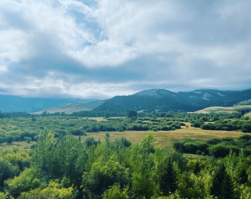 Lush green landscape with rolling hills and a cloudy sky in the background.