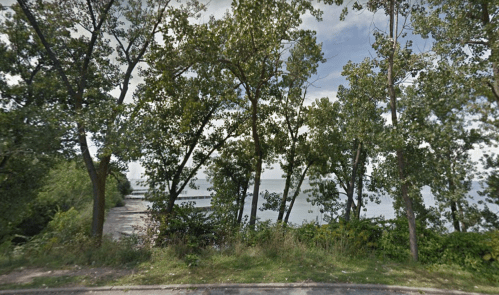 A scenic view of a shoreline framed by tall trees under a cloudy sky.