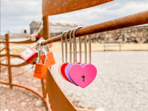 A close-up of heart-shaped padlocks hanging on a metal fence, with a blurred background of a park.