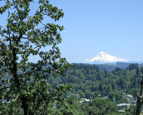 A snow-capped mountain rises above a lush green landscape, framed by trees under a clear blue sky.