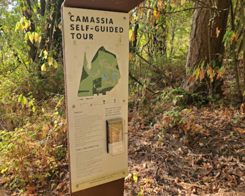 Sign for the Camassia self-guided tour, featuring a map and information about the trails in a wooded area.