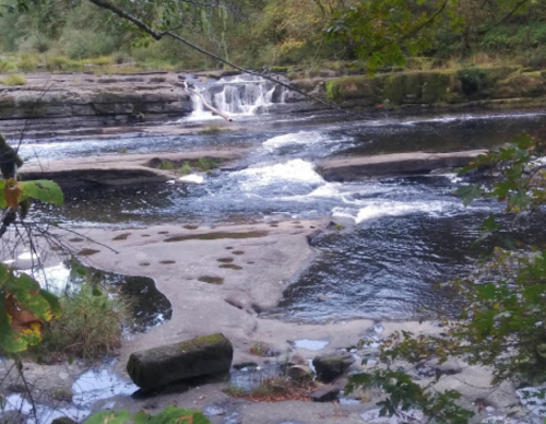 A serene river scene with gentle waterfalls and smooth rocks, surrounded by lush greenery.