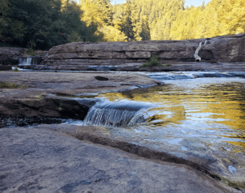 A serene landscape featuring a rocky riverbed with gentle waterfalls and lush green trees in the background.