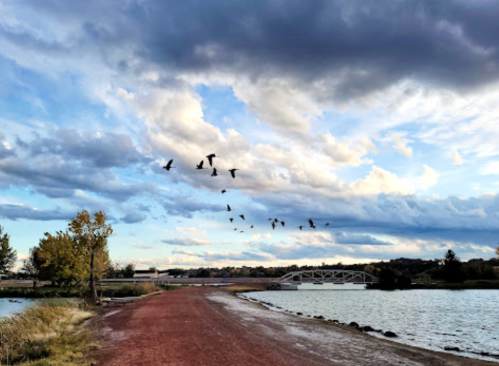 A scenic view of a pathway by a lake, with birds flying across a cloudy sky and a bridge in the background.