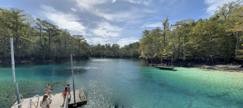 A serene lake surrounded by lush trees, with a wooden dock and people enjoying the water under a clear blue sky.