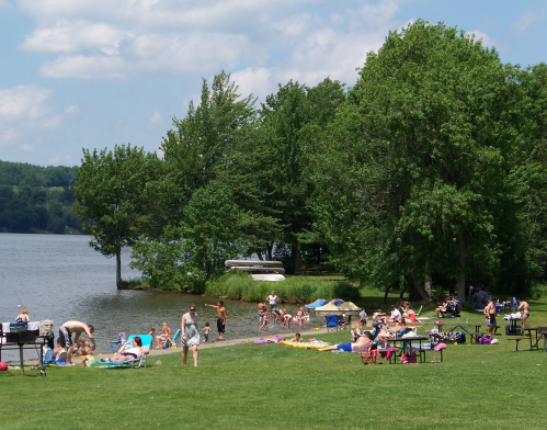 A sunny lakeside scene with people sunbathing, swimming, and enjoying a picnic on the grass near the water.