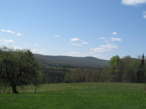 A scenic view of rolling green hills under a blue sky with fluffy white clouds and a tree in the foreground.