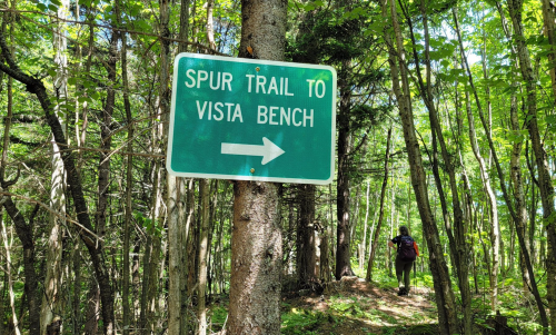 A green sign points right, indicating the spur trail to Vista Bench, with a hiker visible in the background among trees.