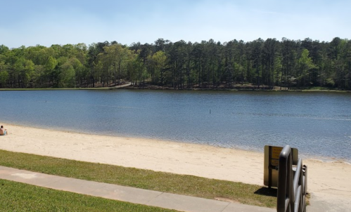 A serene lake surrounded by trees, with a sandy beach in the foreground and a clear blue sky above.