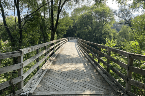 A wooden bridge winding through a lush green forest, surrounded by trees and dappled sunlight.