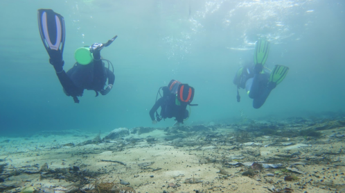 Three divers swim underwater over a sandy seabed with scattered vegetation and debris.