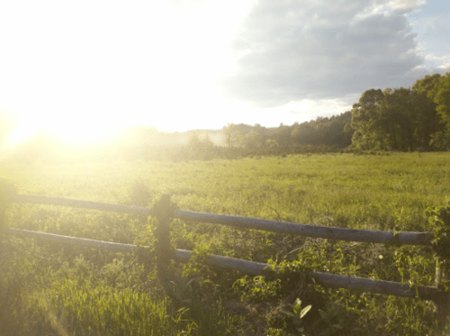 A sunlit field with green grass and a wooden fence, surrounded by trees under a partly cloudy sky.