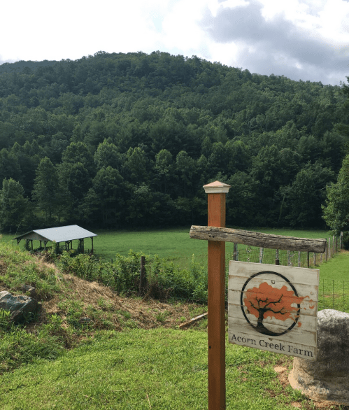 A wooden sign for Acorn Creek Farm in front of a lush green field and wooded hills under a cloudy sky.