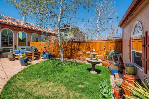 A sunny backyard with green grass, a stone fountain, potted plants, and string lights, surrounded by a wooden fence.