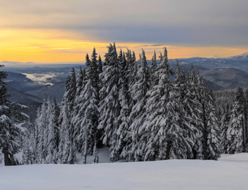 Snow-covered evergreen trees stand against a backdrop of mountains and a colorful sunset sky.