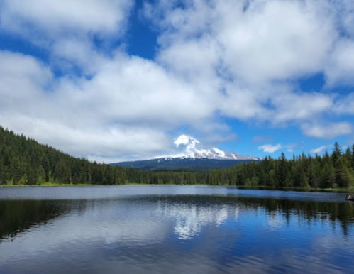 A serene lake reflects a snowy mountain under a blue sky with fluffy clouds, surrounded by lush green forests.