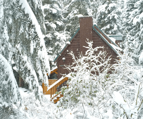 A cozy brown cabin nestled among snow-covered trees in a winter landscape. Snowflakes gently fall around it.