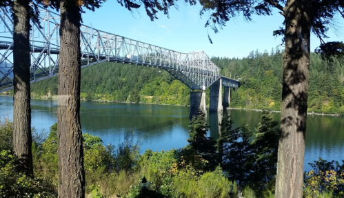 A steel bridge spans a calm river, surrounded by lush green trees and a clear blue sky.