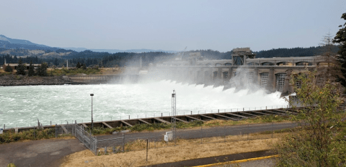 A dam releasing water, creating mist, with a forested landscape in the background under a clear sky.