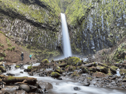 A serene waterfall cascades down moss-covered rocks, surrounded by lush greenery and a flowing river.