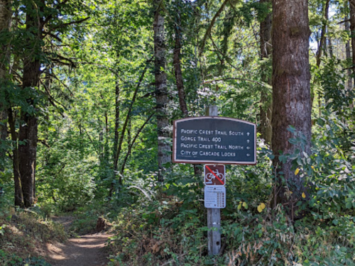 Signpost at a forest trail intersection, indicating directions for Pacific Crest Trail South, Gorge Trail 400, and Cascade Locks.