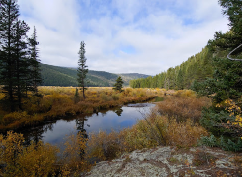 A serene landscape featuring a calm river surrounded by autumn foliage and evergreen trees under a cloudy sky.