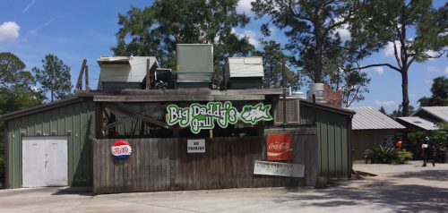 Exterior of Big Daddy's Grill with a green sign, surrounded by trees and a clear blue sky. No parking sign visible.