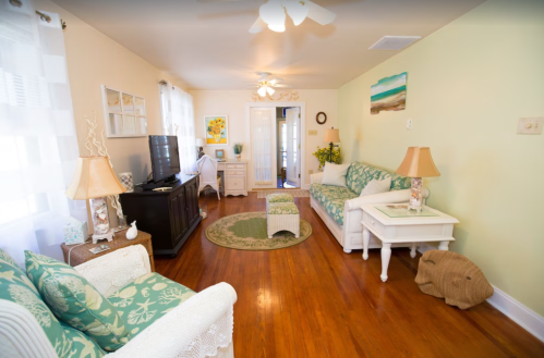 Cozy living room with green decor, wooden floors, a TV, and natural light from windows.