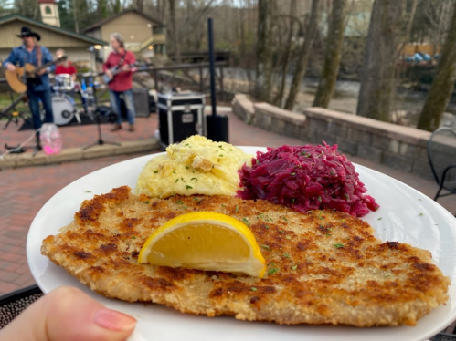 A hand holds a plate with breaded fish, lemon, mashed potatoes, and red cabbage, with a band playing in the background.