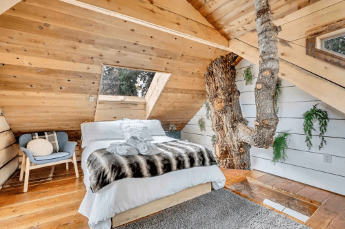 Cozy bedroom with wooden walls, a tree trunk feature, and a bed adorned with a soft blanket and towels.