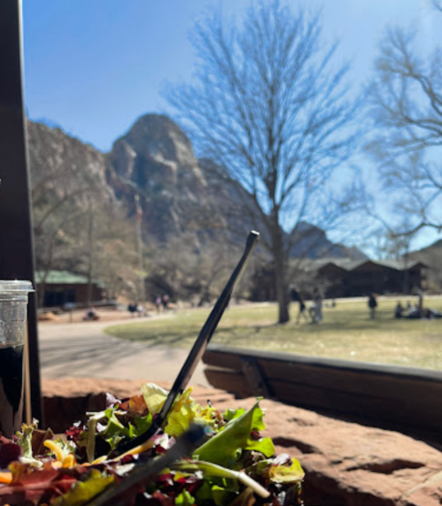 A close-up of a salad with mountains and trees in the background on a sunny day.