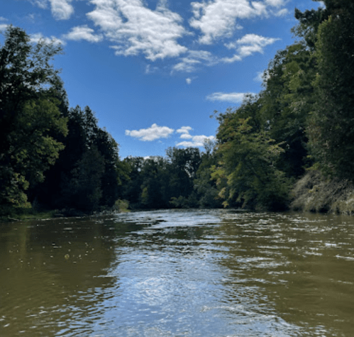 A serene river scene surrounded by lush trees under a partly cloudy blue sky.
