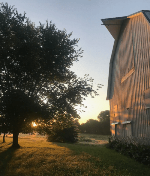 A barn stands beside a tree at sunset, with warm light illuminating the scene and grass in the foreground.