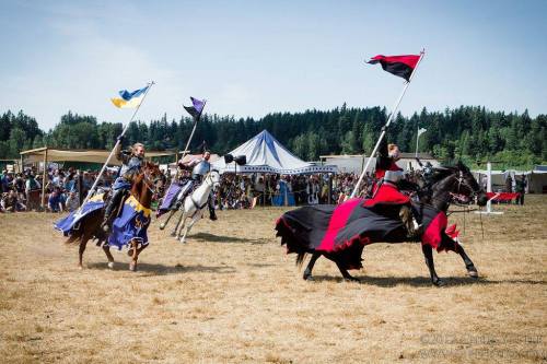Knights on horseback in colorful armor perform at a medieval festival, with spectators and tents in the background.