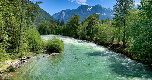 view of the skykomish river surrounded by trees with mountains in the distance in washington state