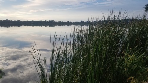 A serene lake scene with tall grasses in the foreground and a calm, reflective water surface under a cloudy sky.