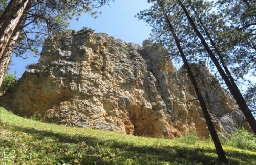 A rocky cliff surrounded by tall trees and green grass under a clear blue sky.