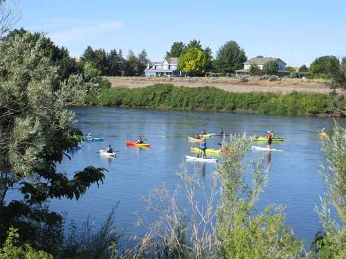 A group of kayakers paddles on a calm river, surrounded by greenery and houses in the background.