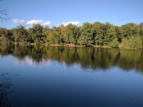 A serene lake surrounded by lush green trees under a clear blue sky, reflecting the landscape on the water's surface.