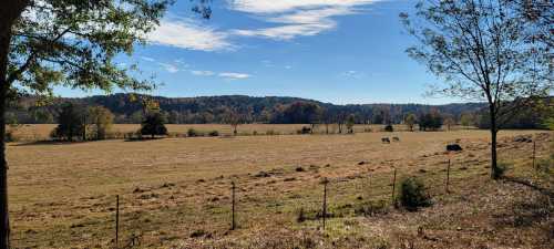 A serene landscape featuring a grassy field, distant hills, and a clear blue sky with a few scattered clouds.