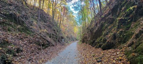 A winding path through a forested area with colorful autumn leaves and steep rocky walls on either side.