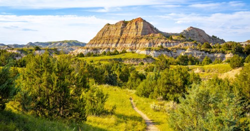 Theodore Roosevelt National Park Canyon Trail during the lush, green months.