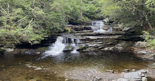 A serene waterfall cascades over rocky ledges into a calm pool, surrounded by lush green trees.