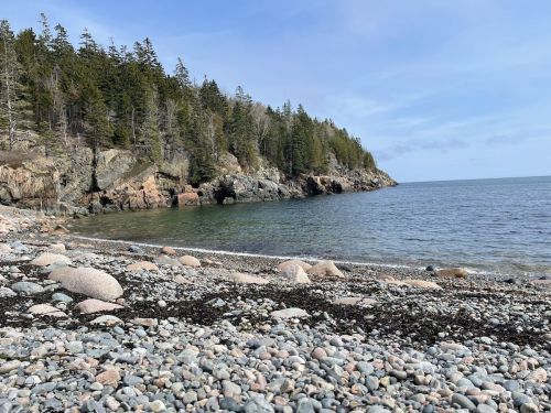 A rocky beach with smooth stones, surrounded by trees and cliffs, under a clear blue sky.